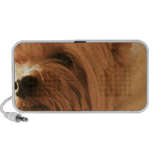 Yorkshire terrier caixinhas de som para viagem