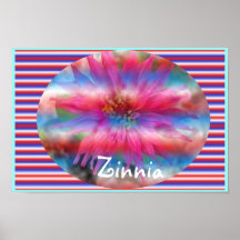 Zinnia Impressão