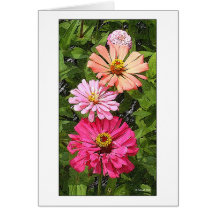 ZinniaFest Cartão