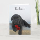 Pesquisar por pug valentine cartoes Amor