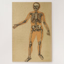 Pesquisar por anatomia humana quebra cabecas Esqueleto