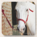 Pesquisar por imagens do cavalo porta copos Imagem da cor