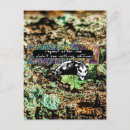 Pesquisar por gambá engraçado cartoes postais Piada