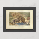 Pesquisar por fóssil cartoes postais Dinossauro