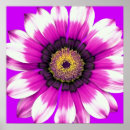 Pesquisar por roxo da flor pôsteres pósteres Botânica