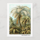 Pesquisar por ernst haeckel cartoes postais Kunstformen der nature