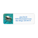 Pesquisar por golfinho etiquetas endereco retorno Aquático