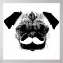 Pesquisar por pug preto pôsteres pósteres Animal