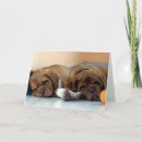 Pesquisar por bordéus cartoes Para todos