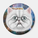 Pesquisar por fluffy cat imas Gatinho