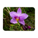 Pesquisar por orquídeas roxas imas Roxo