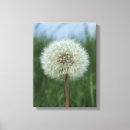 Pesquisar por dandelion impressão de canvas Primavera