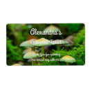 Pesquisar por cogumelo etiquetas Para ela