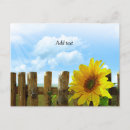 Pesquisar por sunflower cartoes postais Flor