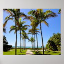 Pesquisar por palm trees pôsteres pósteres Fotografia