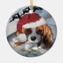 Pesquisar por cavalier ornamentos Animais de estimação