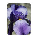 Pesquisar por premium imas Fotografia