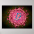 Pesquisar por hiv pósteres Detalhe