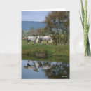 Pesquisar por execução cartoes Animal