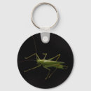 Pesquisar por gafanhoto chaveiros Natureza