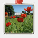 Pesquisar por papoila ornamentos Flor