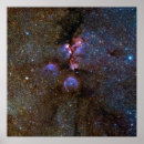 Pesquisar por paws pôsteres pósteres Qualquer pessoa