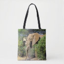Pesquisar por african bolsas Elefante africano