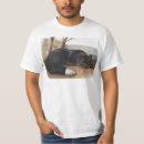 Pesquisar por vulpe camisetas Raposa