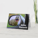 Pesquisar por rir cartoes Humor