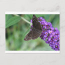 Pesquisar por fundo marrom cartoes postais Planta