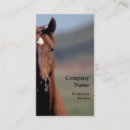 Pesquisar por cavalo cartao de visita Selvagem