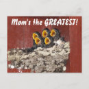 Pesquisar por choir cartoes Música