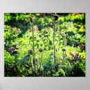 Pesquisar por cabeça flor pôsteres pósteres Para ela