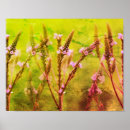 Pesquisar por flores selvagens artes pósteres Mães