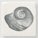 Pesquisar por caracol porta copos Qualquer pessoa