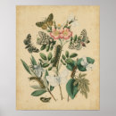 Pesquisar por flower of life pôsteres pósteres Flowers