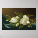 Pesquisar por veludo azul pôsteres pósteres Martin johnson heade