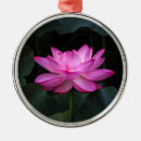 Pesquisar por flor de lótus ornamentos Floral