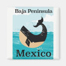 Pesquisar por baleia azul imas Desenho animado