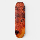 Pesquisar por fire skates Conselho