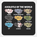 Pesquisar por salamandra axolotl adesivos Axolótopos