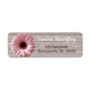 Pesquisar por margarida cor de rosa do gerbera Floral