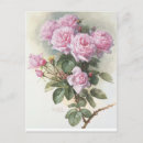 Pesquisar por abelha vintage cartoes postais Jardim