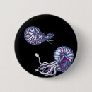 Pesquisar por galáxia espiral botons Cósmico