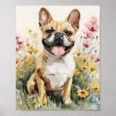 Pesquisar por do buldogue francês artes pósteres Para pets