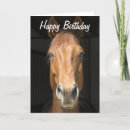 Pesquisar por cavalo fotografia Qualquer pessoa