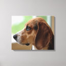 Pesquisar por beagle impressão de canvas Animal
