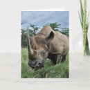 Pesquisar por rhinoceros cartoes Animal