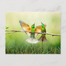 Pesquisar por abelha colorida cartoes postais Natureza