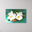 Pesquisar por pétalas e flores impressão de canvas Natureza